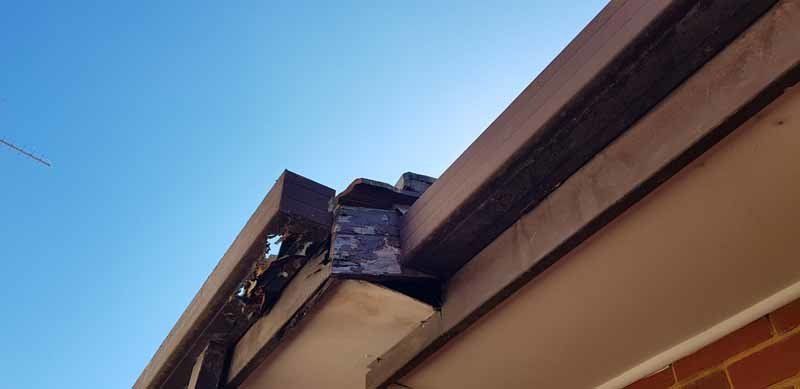 damaged roof