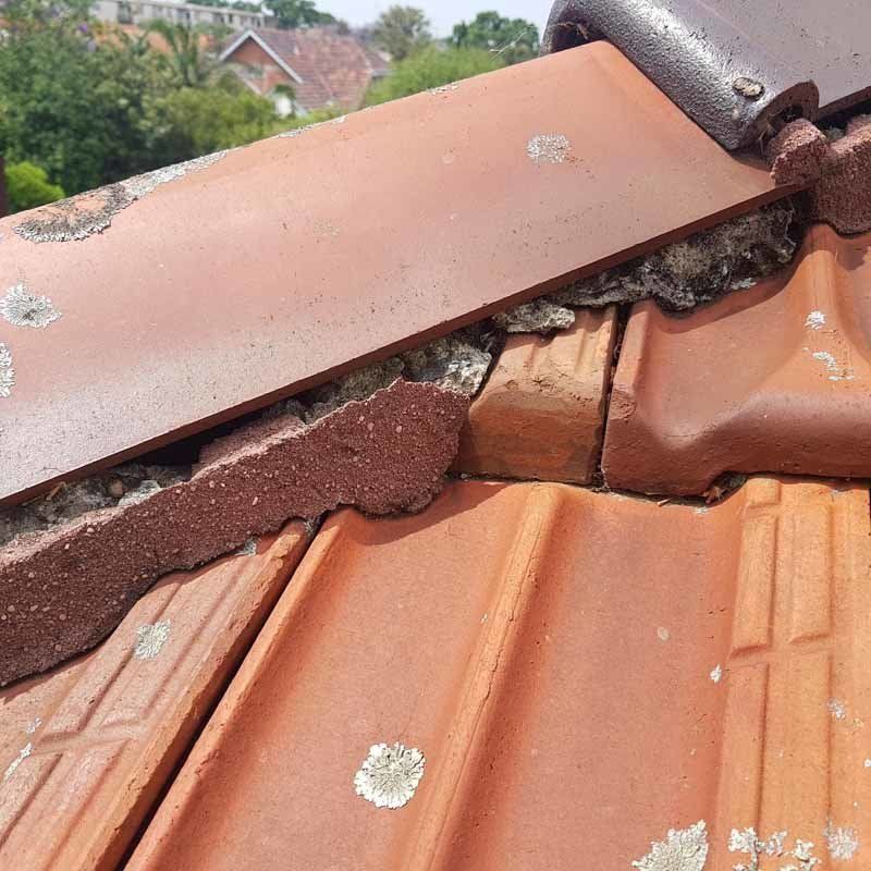 damaged roof