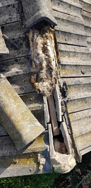 damaged roof