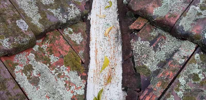 damaged roof