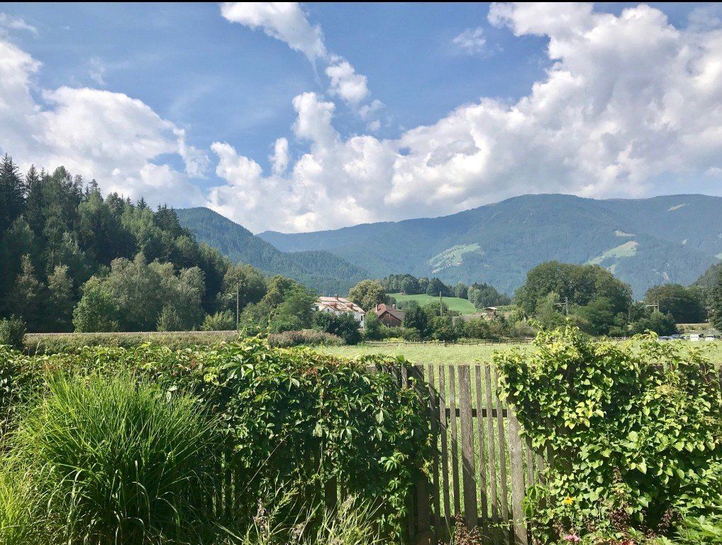 Lush green garden with a wooden fence, trees, mountains, and a cloudy blue sky