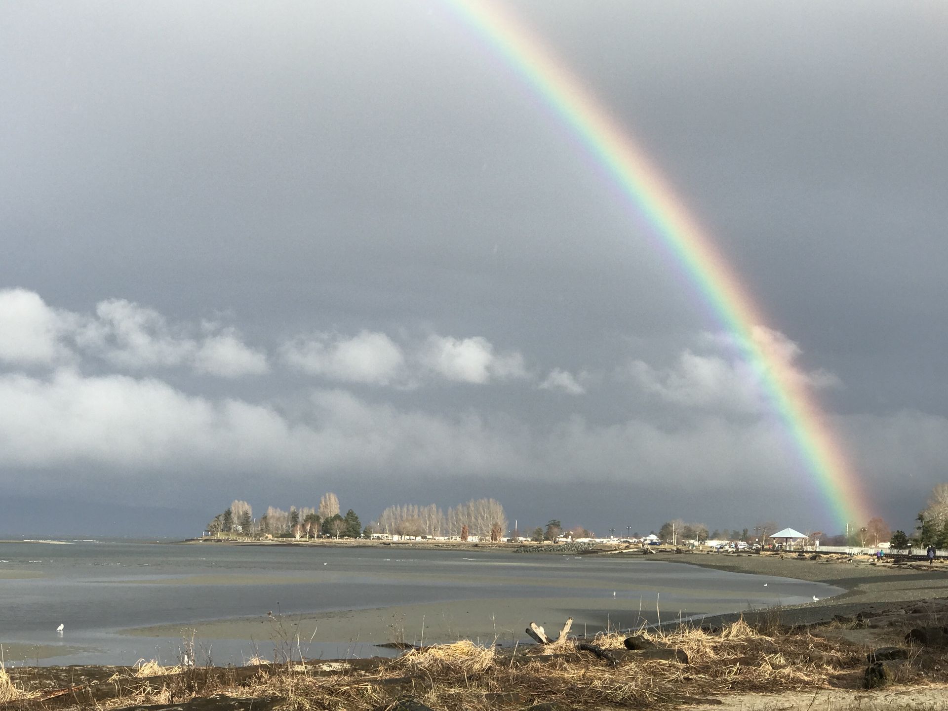 Rainbow over a cloudy coastal skyline and bay at dusk
