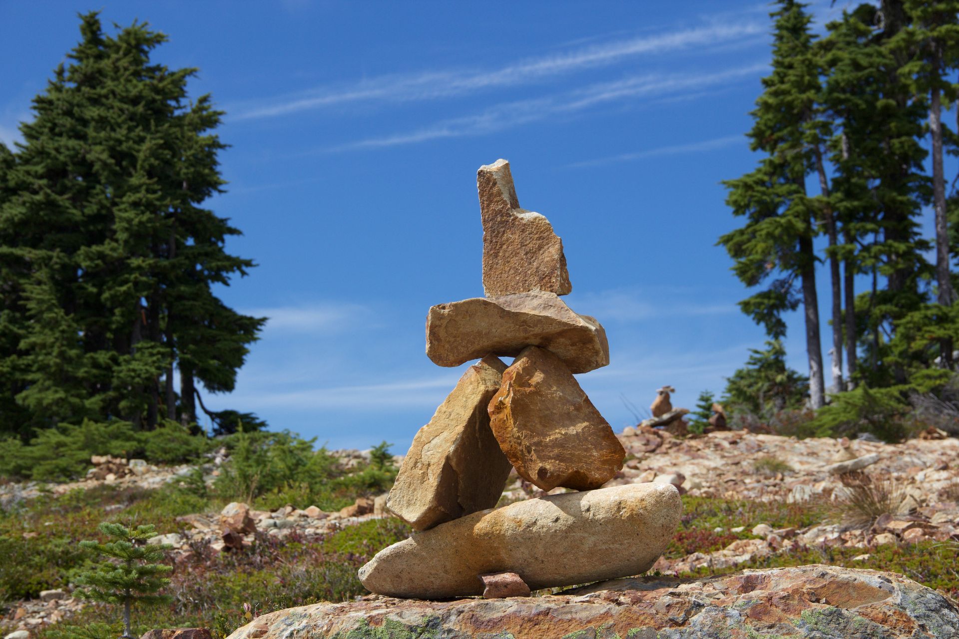 Stacked rocks on a rocky shore with evergreen trees under a blue sky
