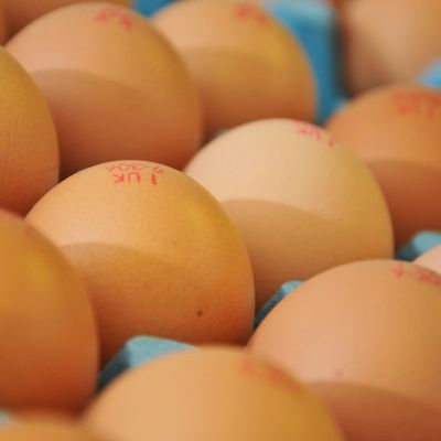 Farm fresh eggs