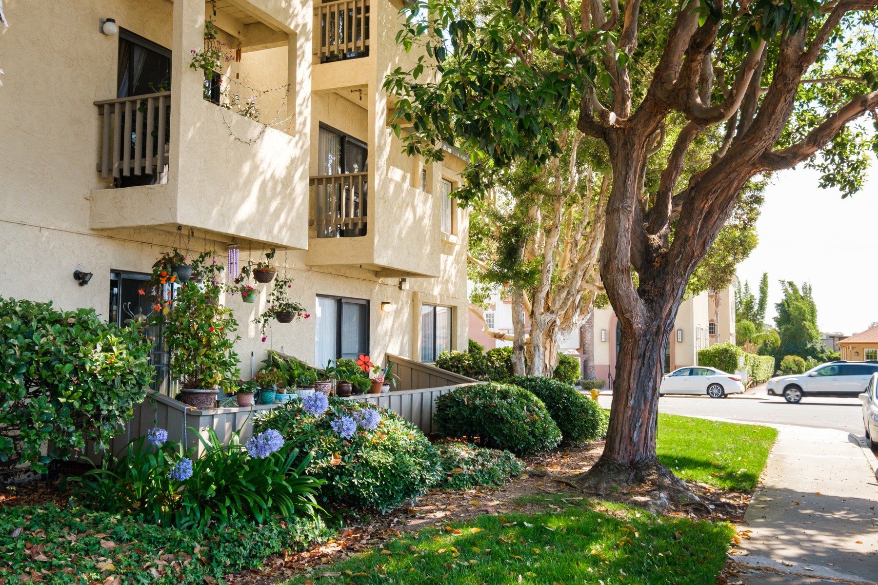A white apartment building with a tree in front of it.