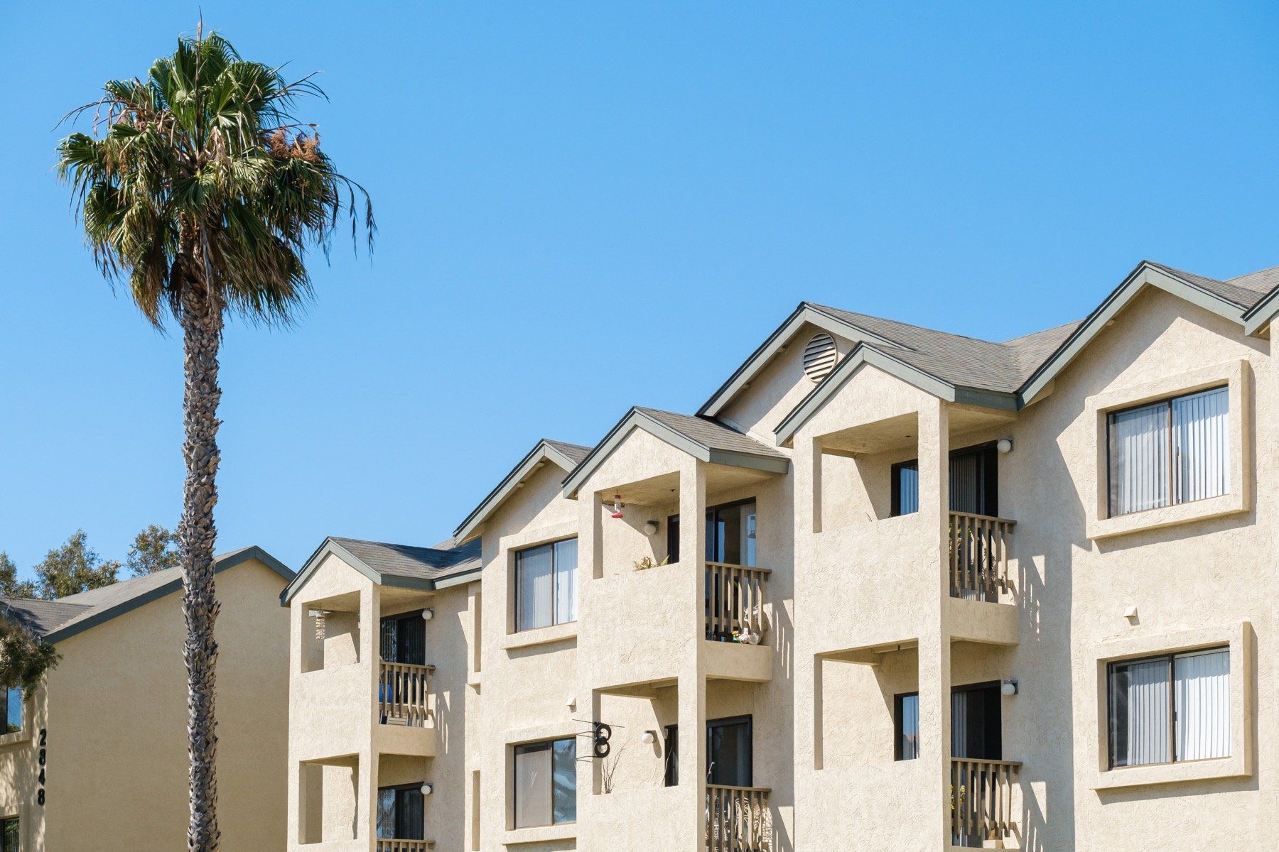 A large apartment building with a palm tree in front of it