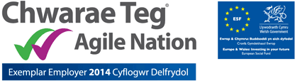 Chwarae Teg logo