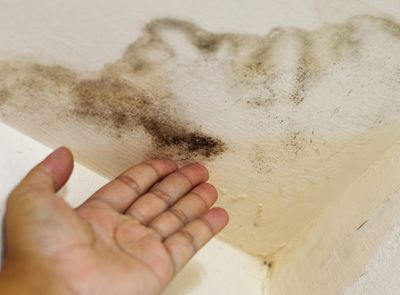 damp proofing services