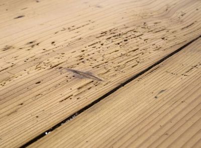 Woodworm treatment