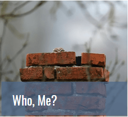 who, me who, me