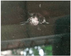 pit-windshield-chip-repair-dallas-texas