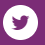 Twitter Icon