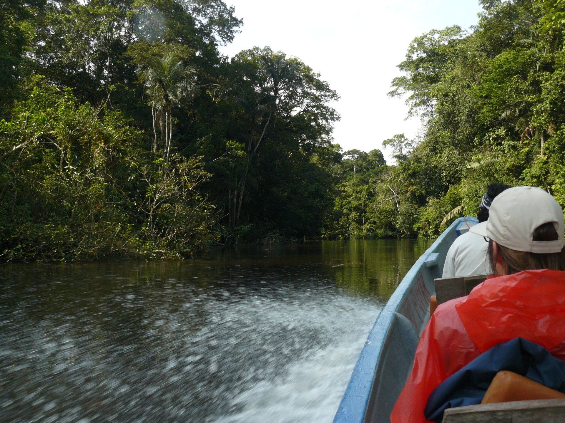 Ecuador, Amazon, Cuyabeno, river cruise