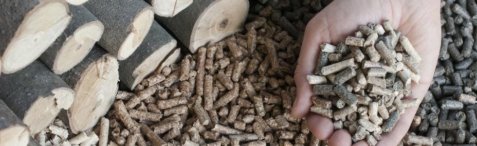vendita pellet