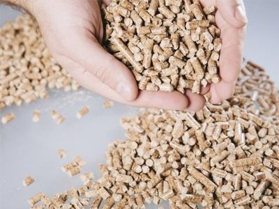 pellets riscaldamento