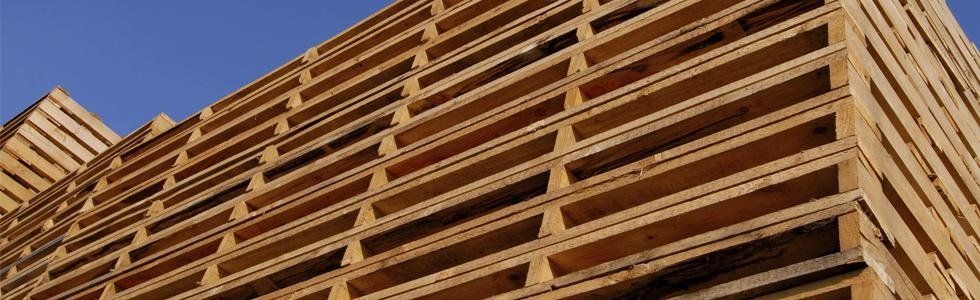 pallets da arredamento