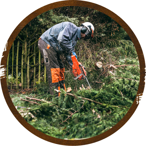 Tree surgery