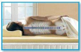 Spine