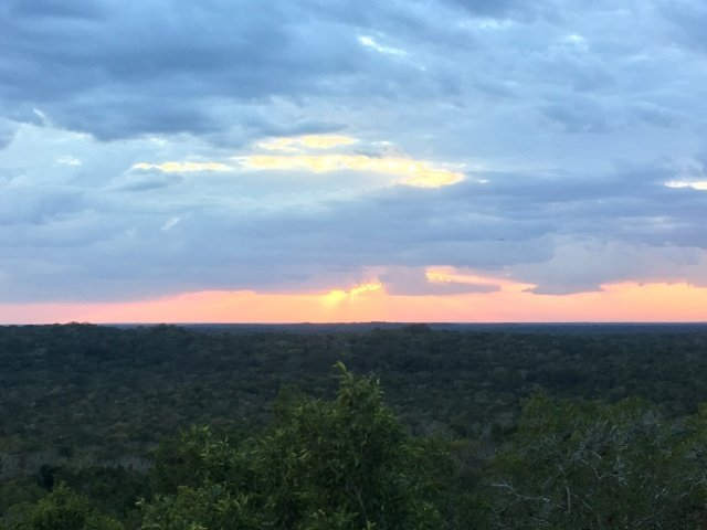 sunset jungle peten maya site el tintal