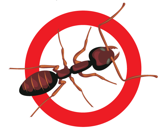 Webb's Pest Control