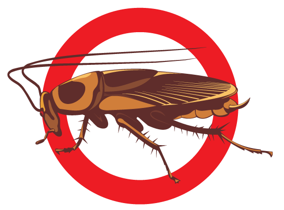 Webb's Pest Control