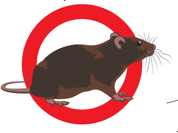 Webb's Pest Control