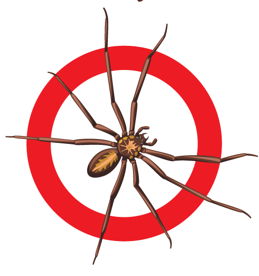 Webb's Pest Control