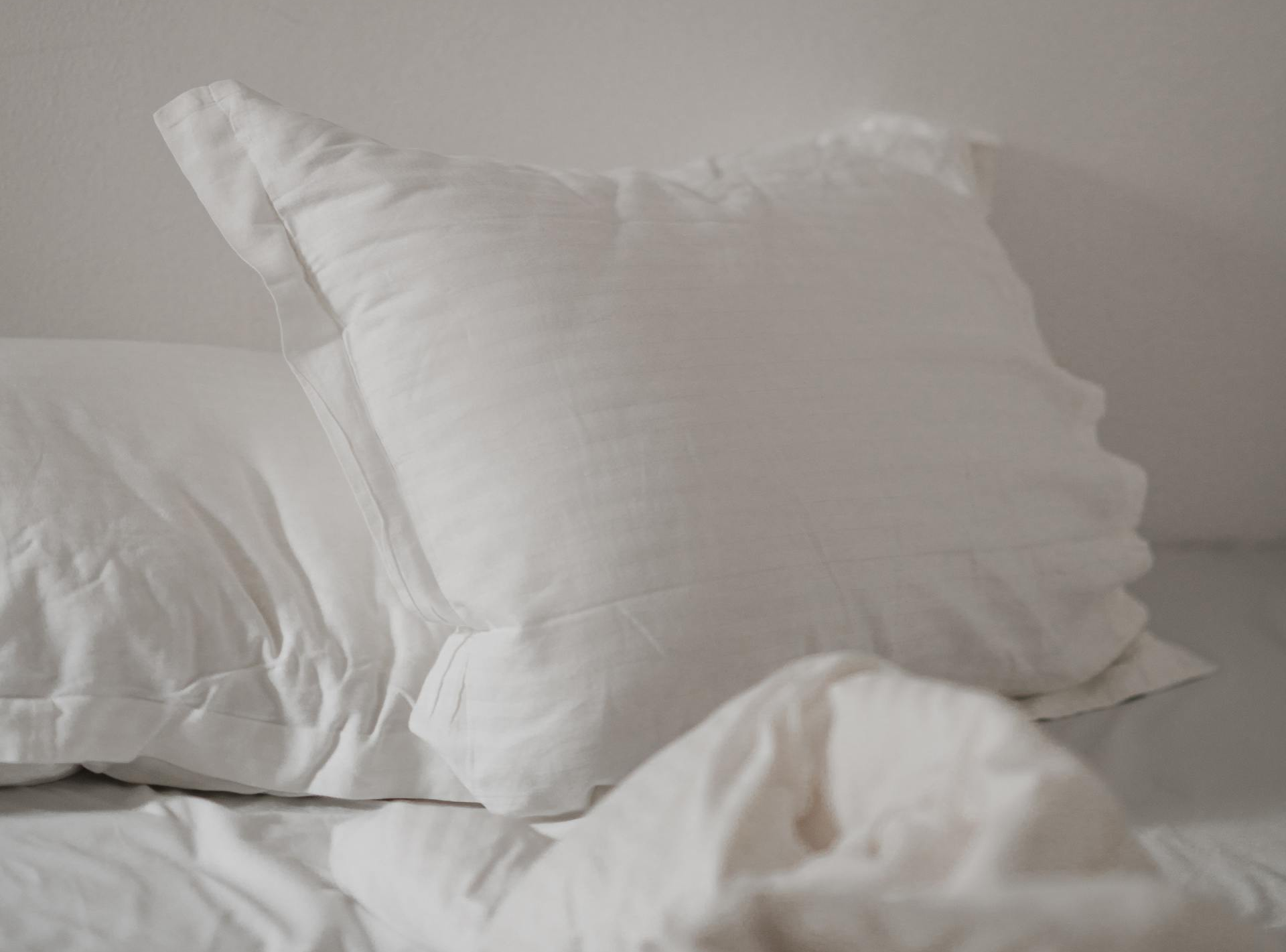 Important Tips for Bed Bug Control