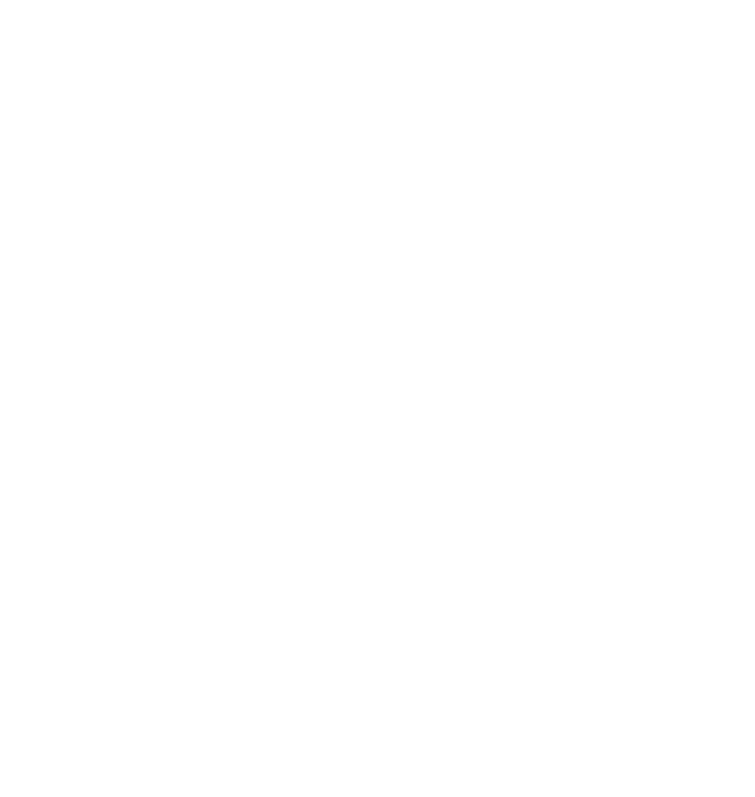 Safety Core Value