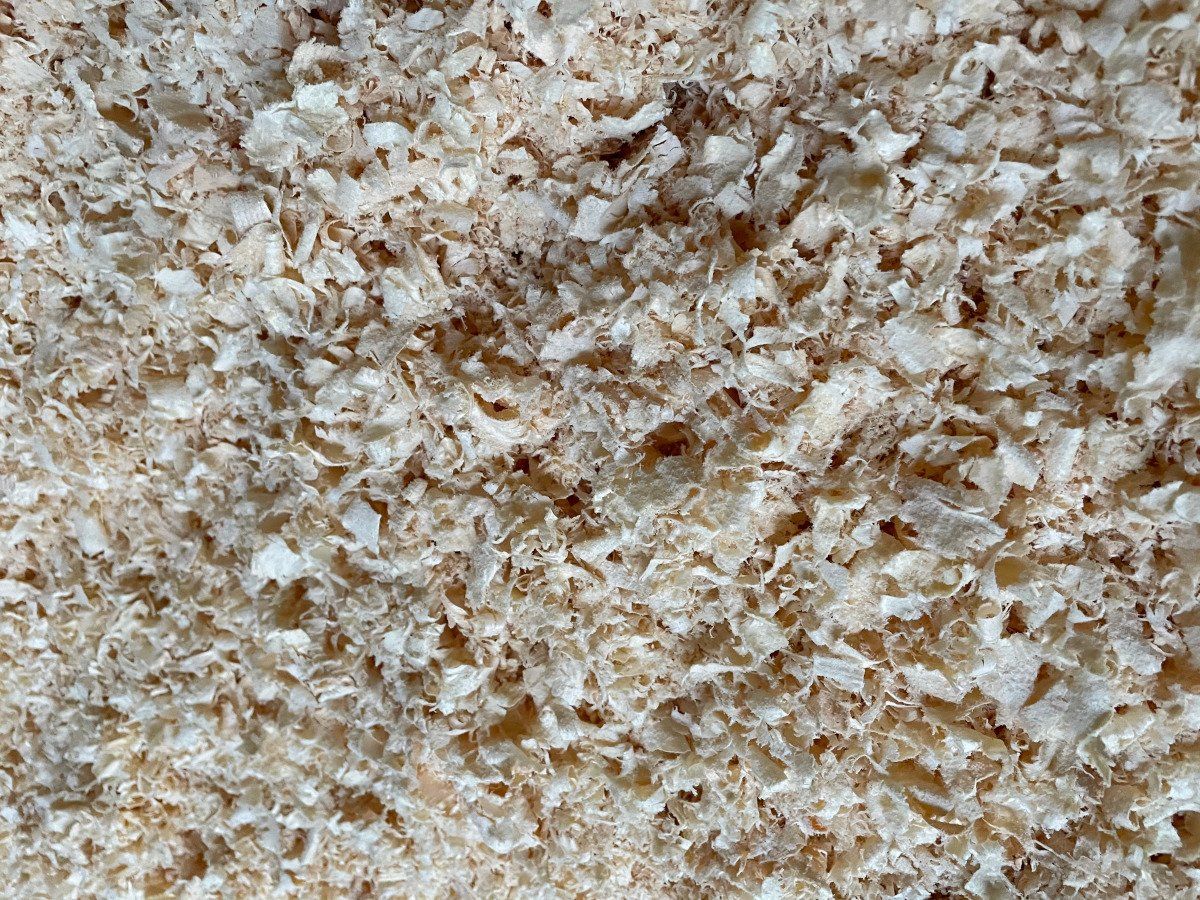 Close-up of beige and white wood shavings or sawdust texture