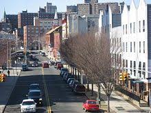 Street scene with parked cars, buildings, and a bare tree.