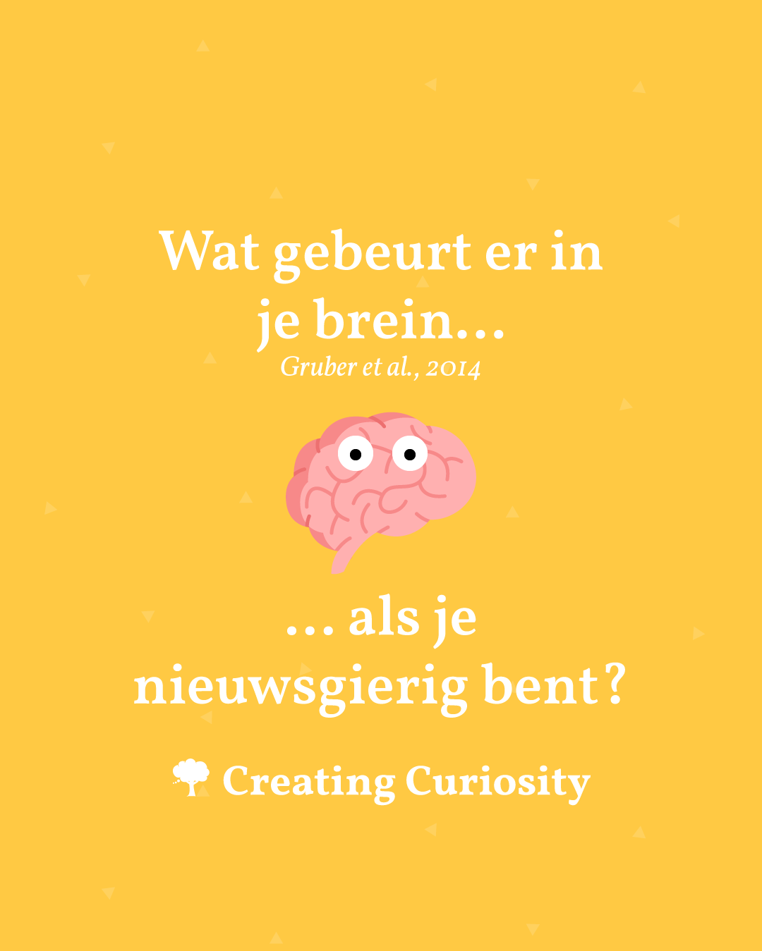 Wat gebeurt er in je brein als je nieuwsgierig bent?