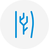 Varicose Veins