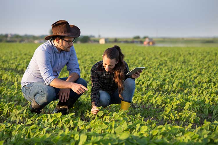 Farmers in the Field — Weston, WV — John E Law CPA, A.C.