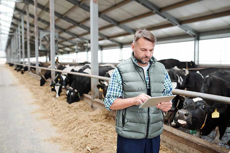 Man Working in the Farm — Weston, WV — John E Law CPA, A.C.