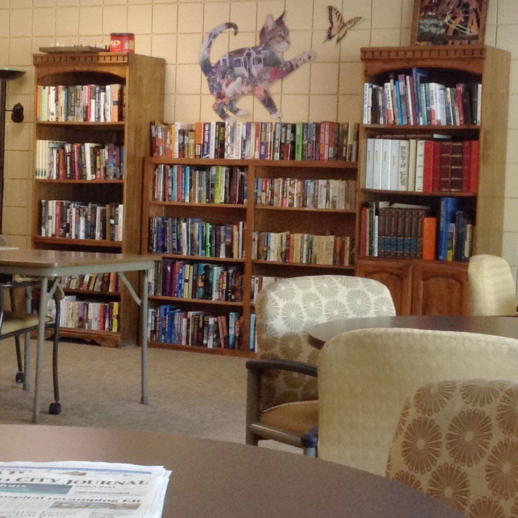 Library interior with bookshelves, tables, chairs, and a cat mural.