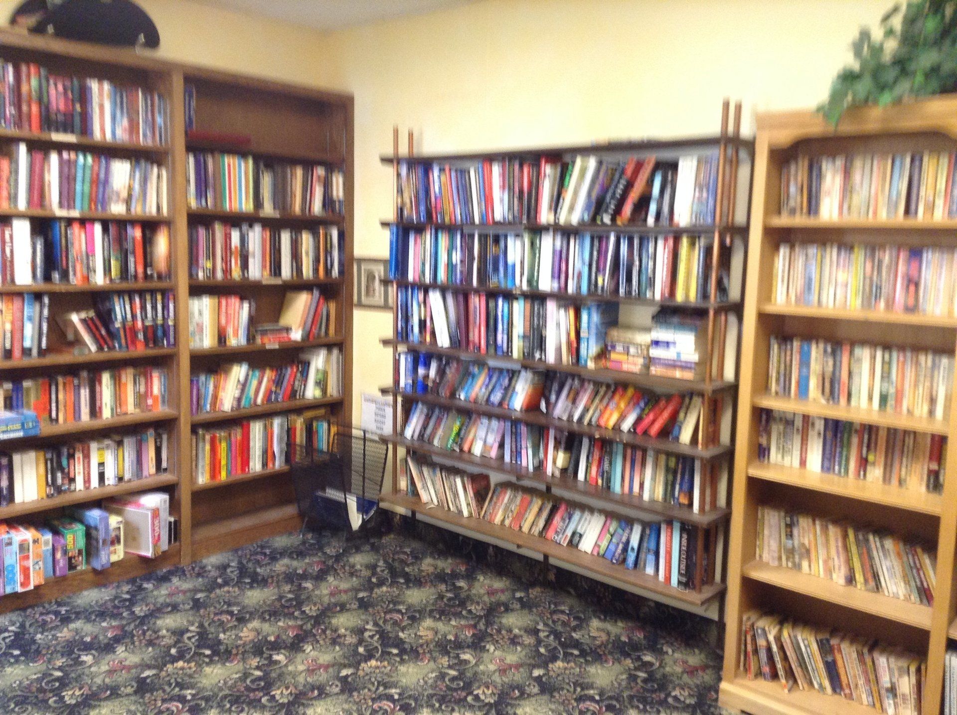 Bookshelves filled with books in a room with patterned carpet.
