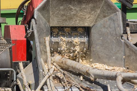 tree removal chipper