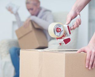 Domestic removals