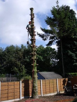 Garden Services - Crewe, Cheshire - MCC TREE CARE - Garden Services - Crewe, Cheshire - MCC TREE CARE -