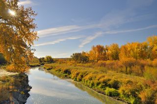billings river
