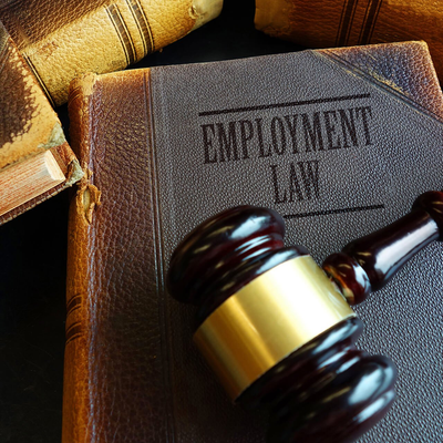 Gavel on Top of Employment Law Book — Santa Paula, CA — Romney Law Offices APC