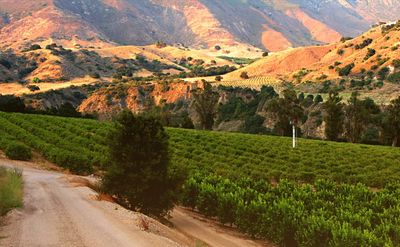 Real Estate — Location in Santa Paula, CA Real Estate — Location in Santa Paula, CA