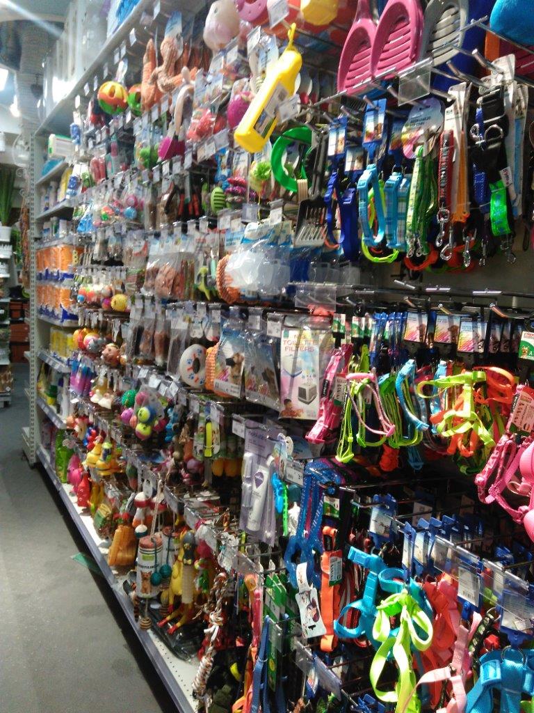 guinzagli e accessori per animali domestici