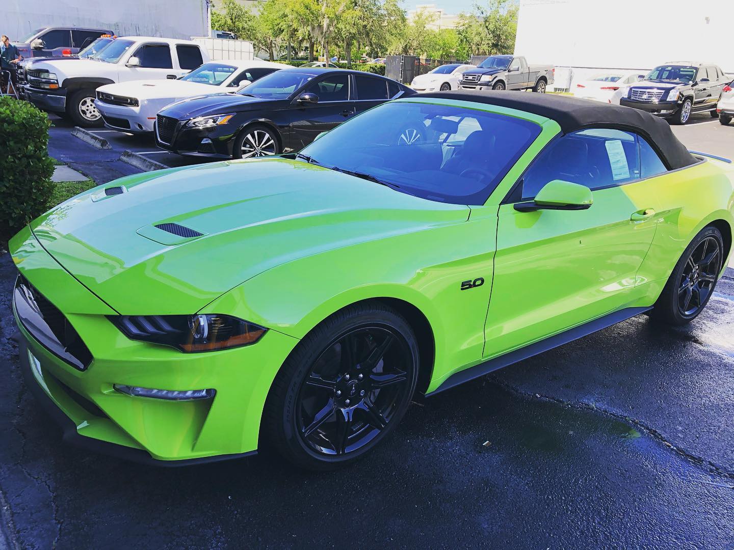 window tinting longwood fl