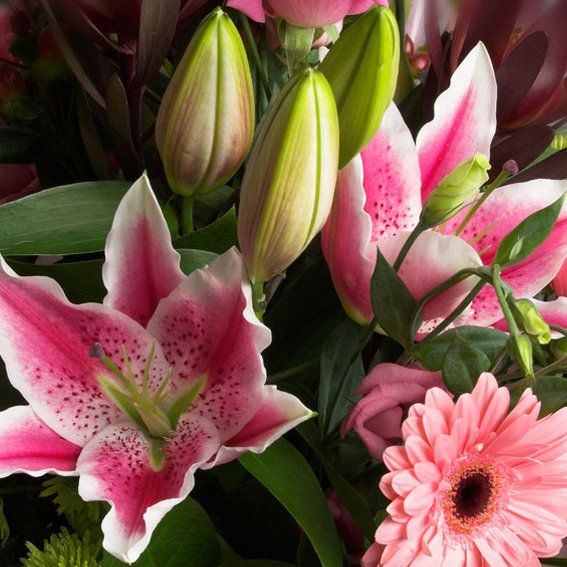 Fresh and long lasting flowers