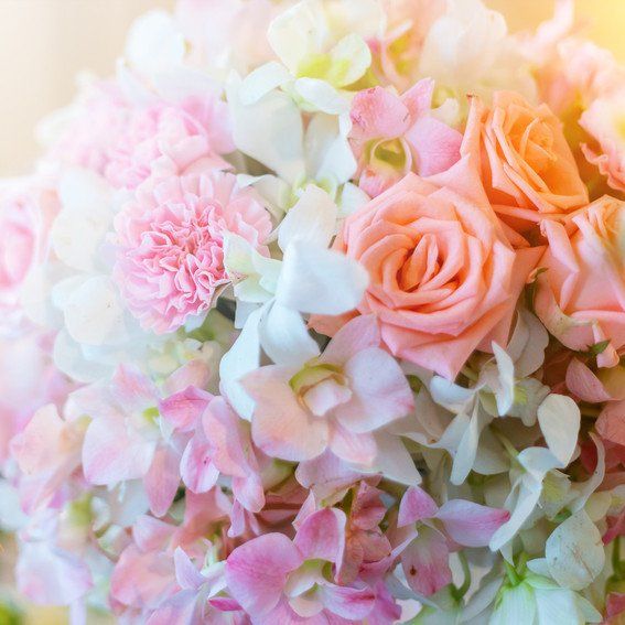 roses