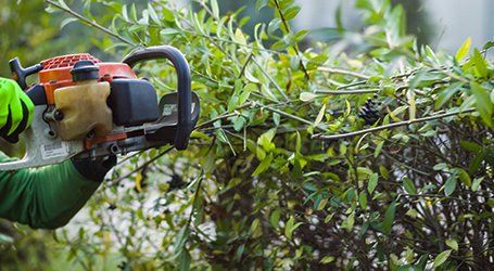 hedge services