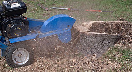 stump grinding services
