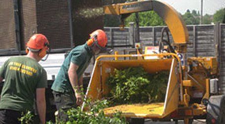 tree pruning